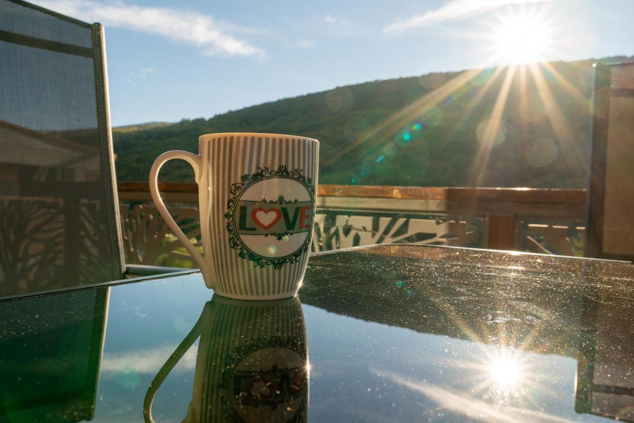 Villa Victory Mavrovo Dış mekan fotoğraf